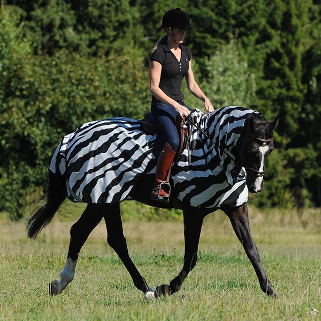 Buzz Off Riding Zebra Bucas Zèbre