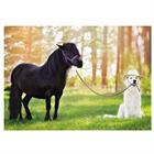 Carte Postale Cheval Chien Divers