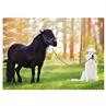 Carte Postale Cheval Chien Divers