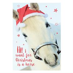 Carte Postale Cheval Noel
