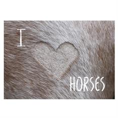 Carte Postale I Love Horses