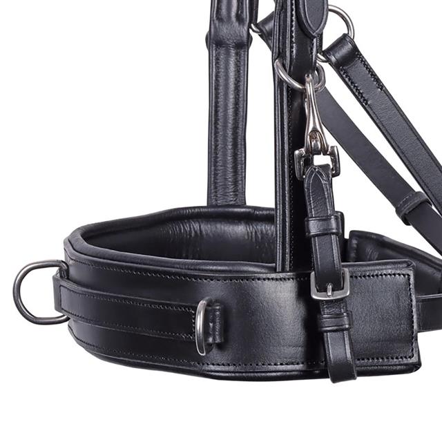 Caveçon bridon Comfort Harry's Horse Noir