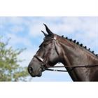 Caveçon Bridon Hunter Usc Dy'on Marron