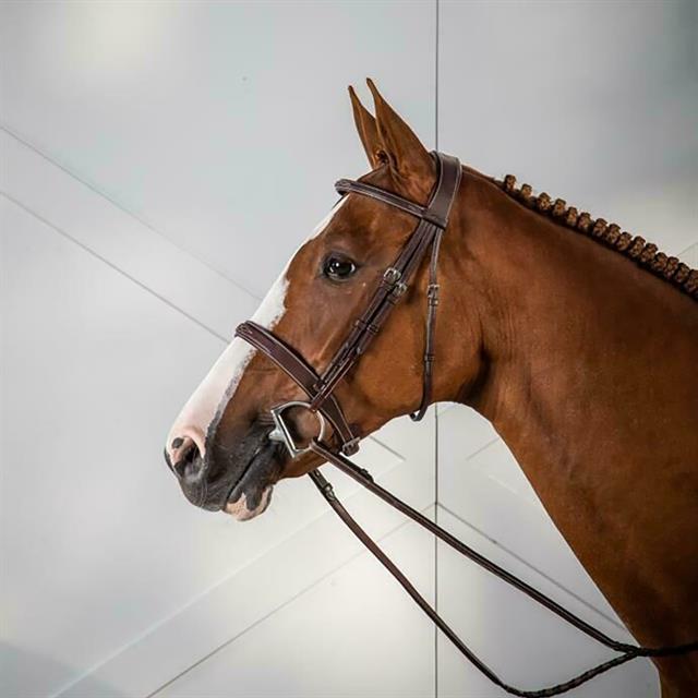 Caveçon Bridon Hunter Usc Dy'on Marron