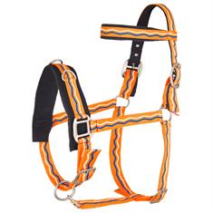 Caveçon Imperial Riding Orange