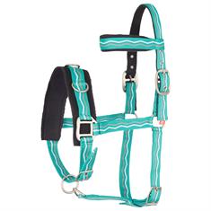 Caveçon Imperial Riding Turquoise