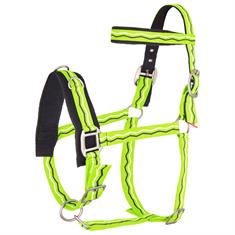 Caveçon Imperial Riding Vert
