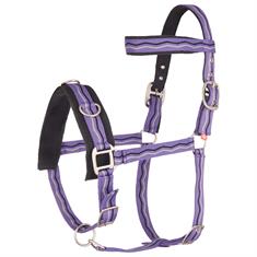 Caveçon Imperial Riding Violet