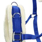 Caveçon Nylon Epplejeck MID BLUE