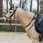Ceinture d'équilibre HORSEGEAR Noir