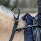Ceinture d'équilibre HORSEGEAR Noir