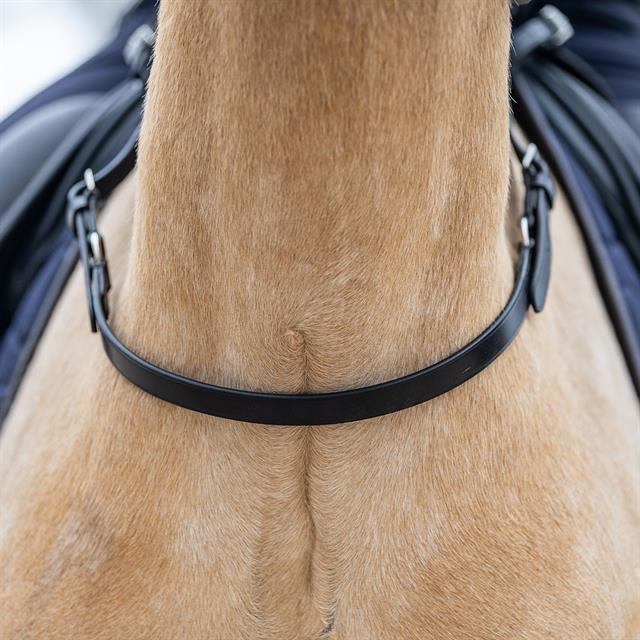 Ceinture d'équilibre HORSEGEAR Noir