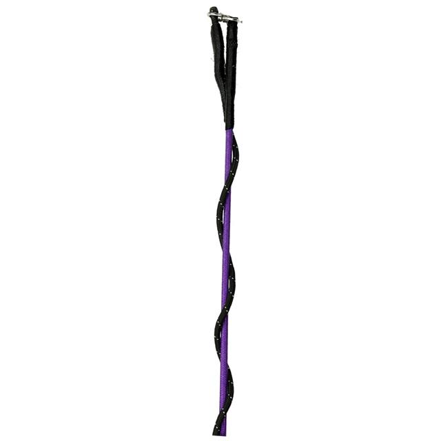 Chambrière Classic Lammert Haanstra Violet