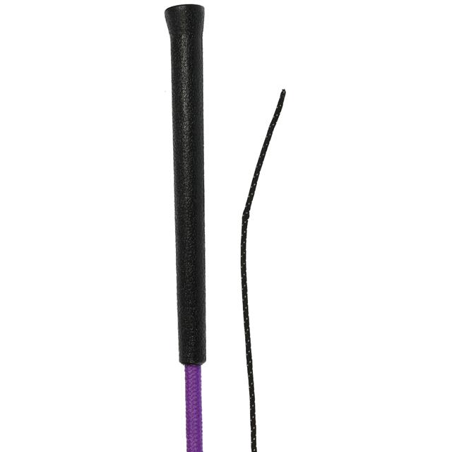 Chambrière Haanstra Sports Violet