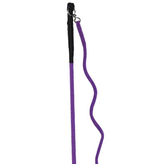 Chambrière Haanstra Sports Violet