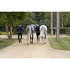 Chausettes KLNabia Kingsland Bleu foncé
