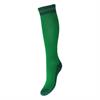 Chaussettes Paardenpraat By EJ 2.0 Vert foncé