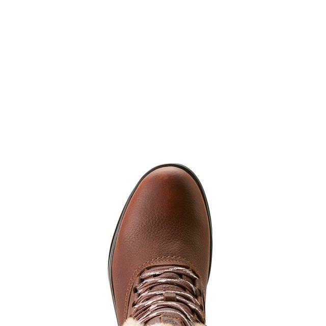 Chaussures d'écurie Harper Sherpa Waterproof Ariat Marron foncé