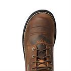 Chaussures d'écurie Probaby Lacer Ariat Marron