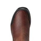 Chaussures d'écurie Terrain Blaze H2O Ariat Marron foncé