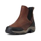 Chaussures d'écurie Terrain Blaze H2O Ariat Marron foncé