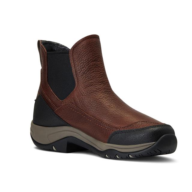 Chaussures d'écurie Terrain Blaze H2O Ariat Marron foncé