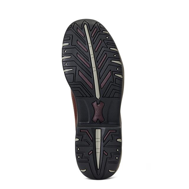 Chaussures d'écurie Terrain Blaze H2O Ariat Marron foncé