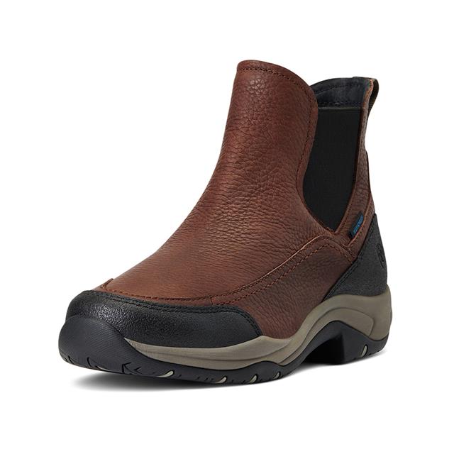 Chaussures d'écurie Terrain Blaze H2O Ariat Marron foncé