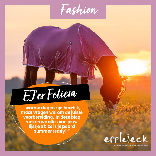 Checklist d’été pour vous et votre cheval