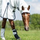 Chemise Anti-Eczéma Anti-Mouches Sweet Itch Full Neck HORSEGEAR Blanc