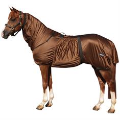Chemise Anti-Eczéma Full Neck Epplejeck Marron