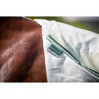 Chemise anti-eczéma Sweet Itch Hoody Rambo Horseware Vert clair