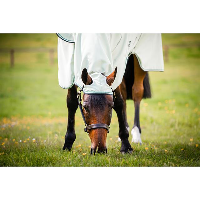 Chemise anti-eczéma Sweet Itch Hoody Rambo Horseware Vert clair