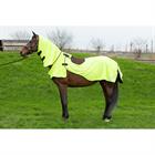 Chemise Anti-Mouches Mesh-Pro Riding Harry's Horse Jaune