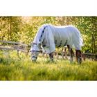 Chemise anti-mouches Rambo Protector Horseware Argenté-bleu
