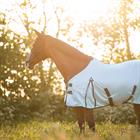 Chemise Anti-Mouches Summertime Full Neck Epplejeck Gris-bleu