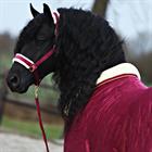 Chemise d'écurie Friesian Horse By 160g HORSEGEAR Rouge foncé