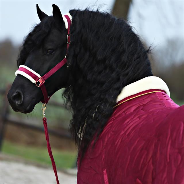 Chemise d'écurie Friesian Horse By 160g HORSEGEAR Rouge foncé