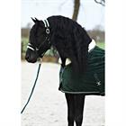 Chemise d'écurie Friesian Horse By 160g HORSEGEAR Vert foncé