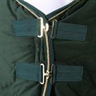 Chemise d'écurie Friesian Horse By 160g HORSEGEAR Vert foncé