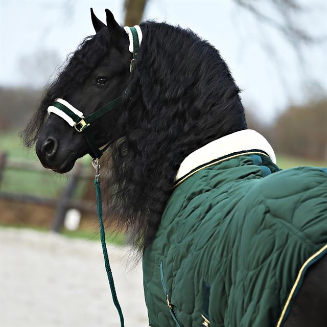 Chemise d'écurie Friesian Horse By 160g HORSEGEAR Vert foncé