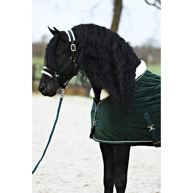 Chemise d'écurie Friesian Horse By 160g HORSEGEAR Vert foncé
