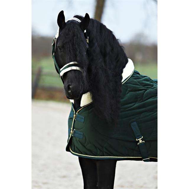 Chemise d'écurie Friesian Horse By 160g HORSEGEAR Vert foncé