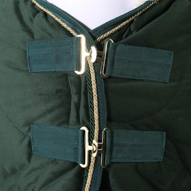 Chemise d'écurie Friesian Horse By 160g HORSEGEAR Vert foncé