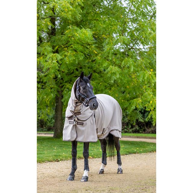 Chemise d'été Kudos Field LeMieux Gris clair
