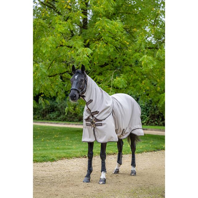 Chemise d'été Kudos Field LeMieux Gris clair