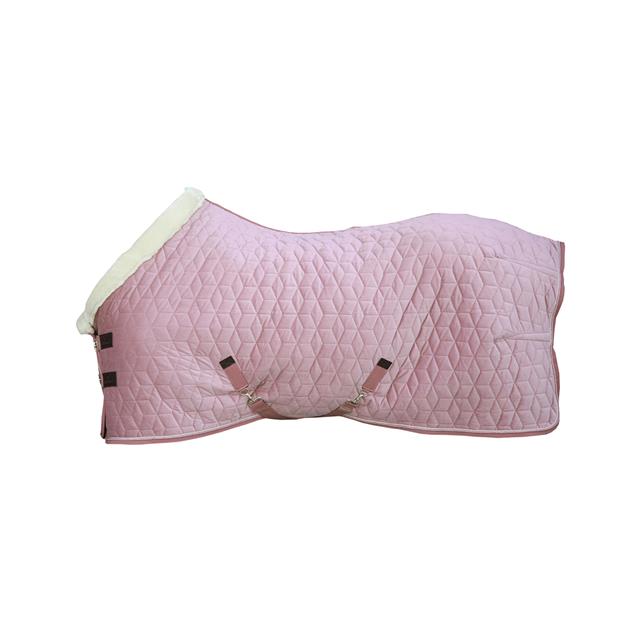 Chemise de concours Velvet Tiny 160 g Kentucky Rose