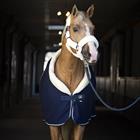 Chemise Séchante Allure HORSEGEAR Bleu foncé
