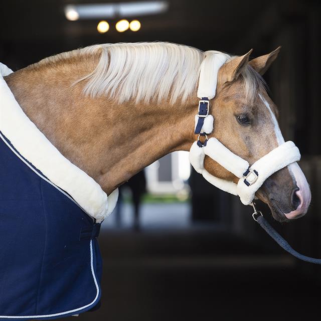 Chemise Séchante Allure Horsegear Bleu foncé