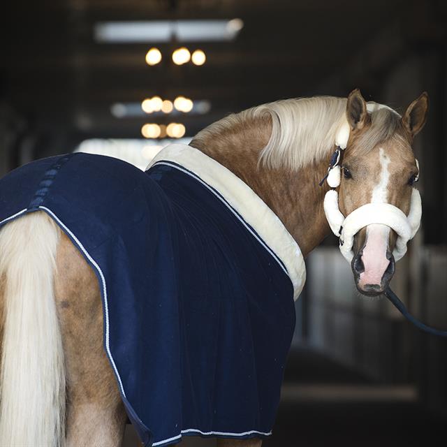 Chemise Séchante Allure Horsegear Bleu foncé